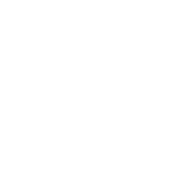 Грузовики Reach 